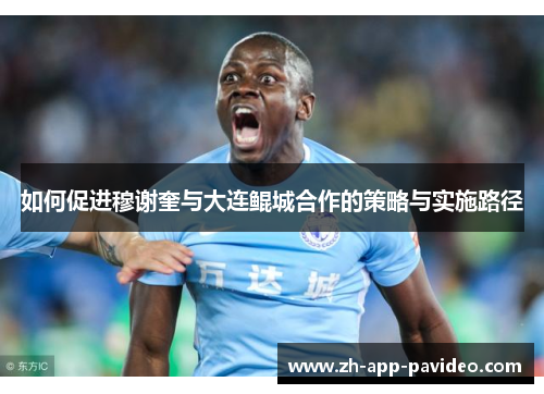 如何促进穆谢奎与大连鲲城合作的策略与实施路径