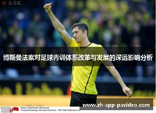 博斯曼法案对足球青训体系改革与发展的深远影响分析