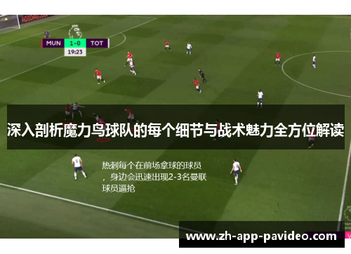 深入剖析魔力鸟球队的每个细节与战术魅力全方位解读