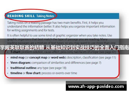 掌握英联联赛的精髓 从基础知识到实战技巧的全面入门指南